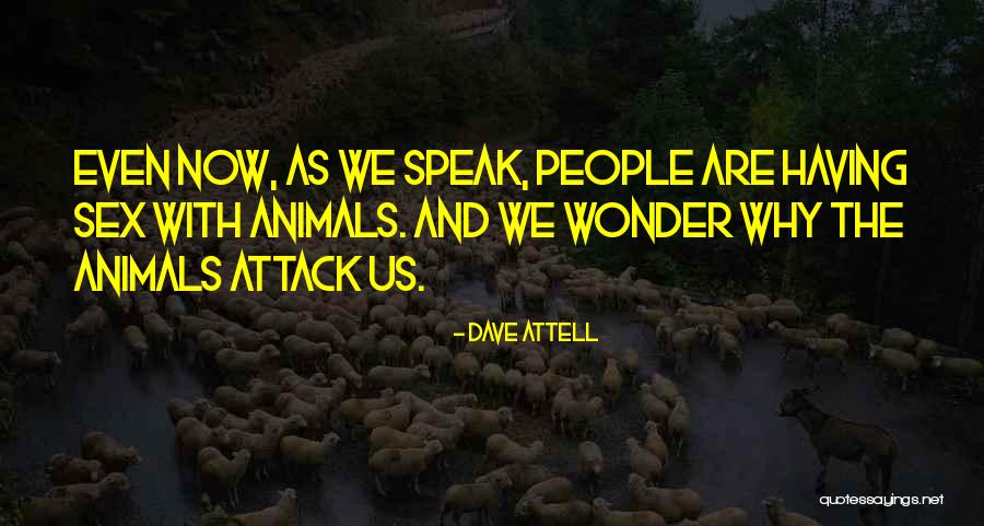 Kurdista Quotes By Dave Attell Kurdista Quotes By Dave Attell