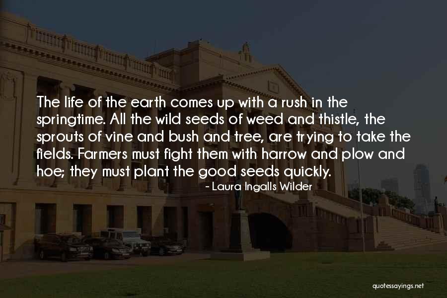 Kuringai Quotes By Laura Ingalls Wilder Kuringai Quotes By Laura Ingalls Wilder