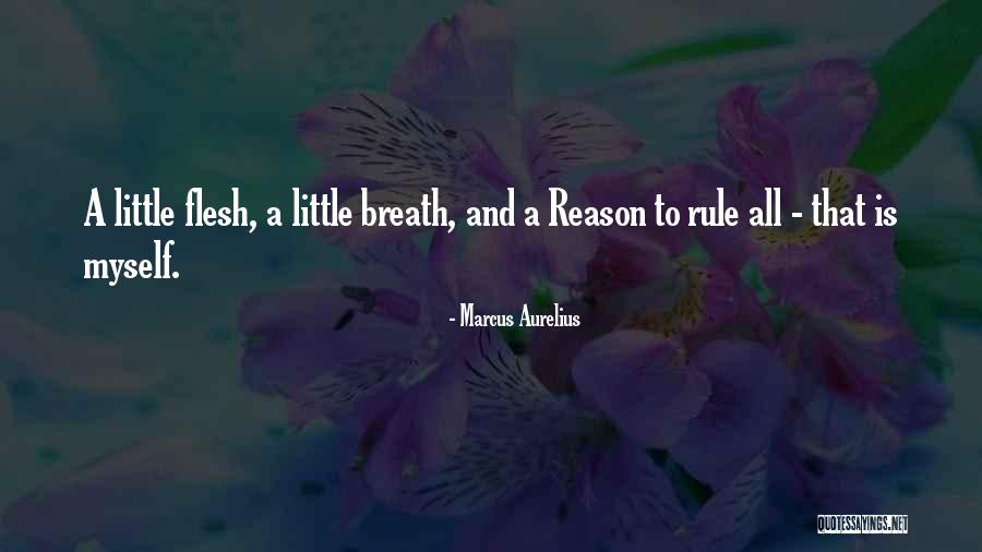 Kuriose Lietuvos Quotes By Marcus Aurelius Kuriose Lietuvos Quotes By Marcus Aurelius