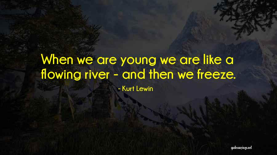 Kurt Lewin Quotes 1854353