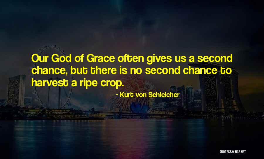 Kurt Von Schleicher Quotes 1225062