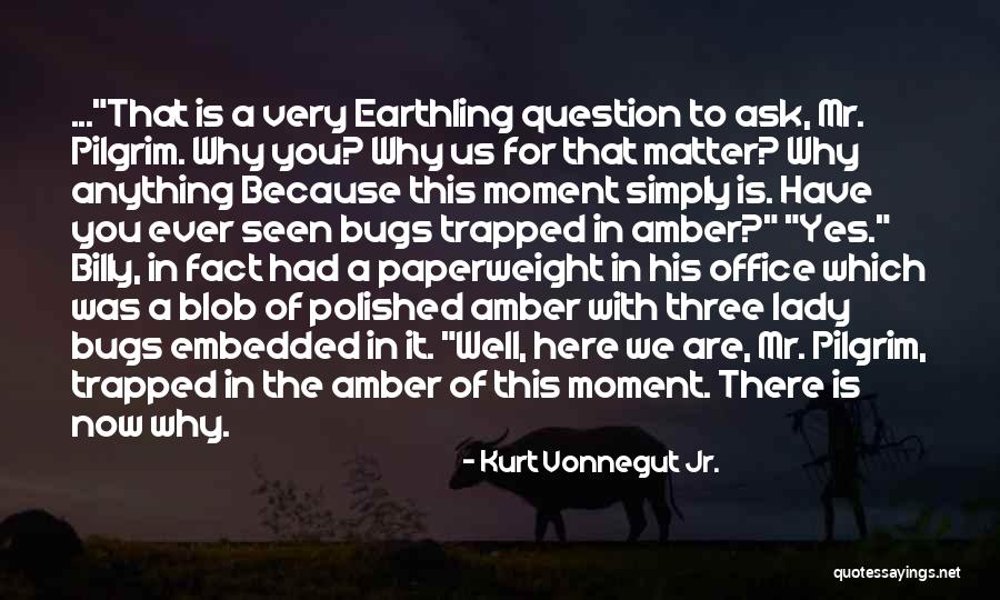 Kurt Vonnegut Jr. Quotes 642195