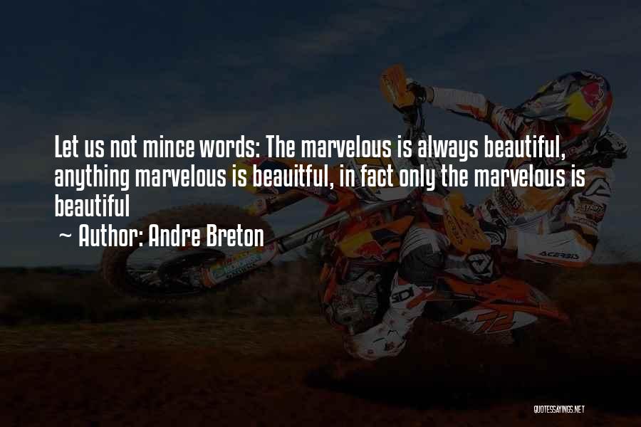 Kurtiss Allen Quotes By Andre Breton