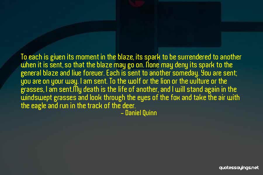 Kurzon Md Quotes By Daniel Quinn Kurzon Md Quotes By Daniel Quinn