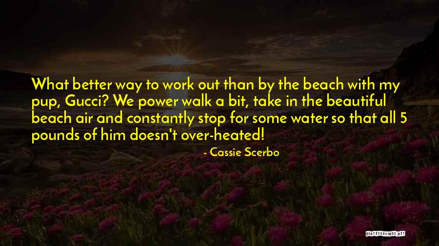 Kusasira Ku Quotes By Cassie Scerbo Kusasira Ku Quotes By Cassie Scerbo