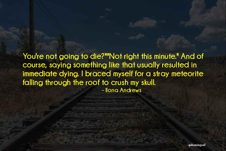 Kushuka Kwa Quotes By Ilona Andrews Kushuka Kwa Quotes By Ilona Andrews