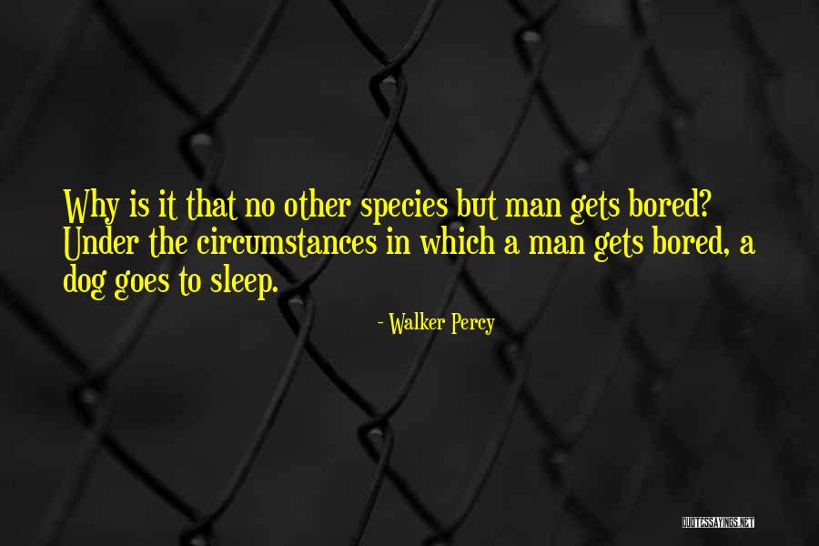 Kuutamolla Quotes By Walker Percy Kuutamolla Quotes By Walker Percy