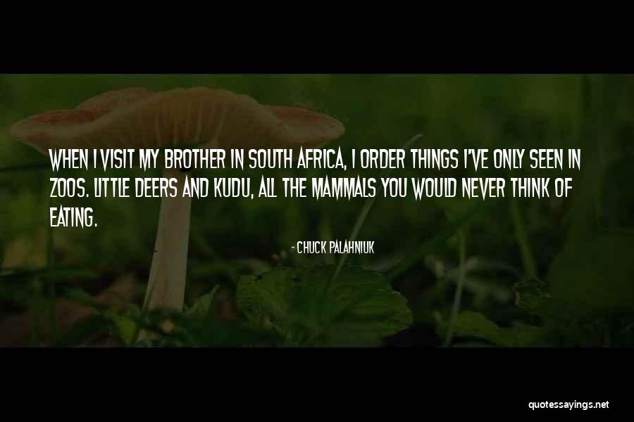 Kuwata Leon Quotes By Chuck Palahniuk Kuwata Leon Quotes By Chuck Palahniuk