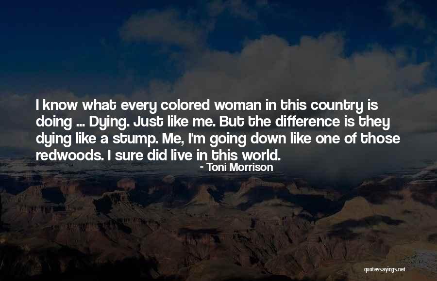 Kuzmenko Taxes Quotes By Toni Morrison Kuzmenko Taxes Quotes By Toni Morrison
