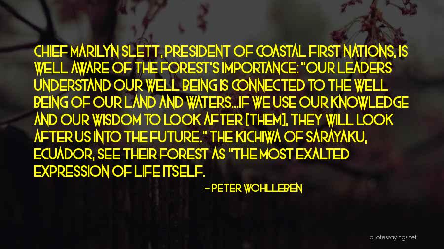 Kuzminskis Quotes By Peter Wohlleben Kuzminskis Quotes By Peter Wohlleben