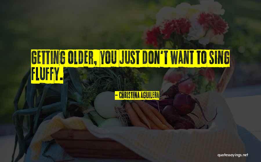 Kvalheim Pottery Quotes By Christina Aguilera Kvalheim Pottery Quotes By Christina Aguilera