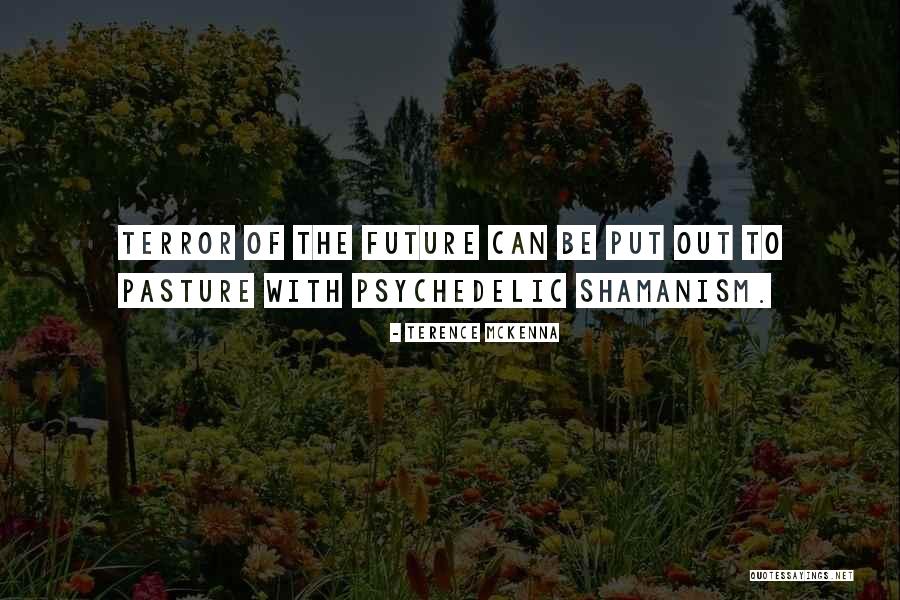 Kvothes Instrument Quotes By Terence McKenna Kvothes Instrument Quotes By Terence McKenna