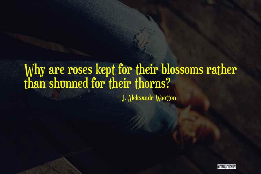 Kya Baat Hai Quotes By J. Aleksandr Wootton