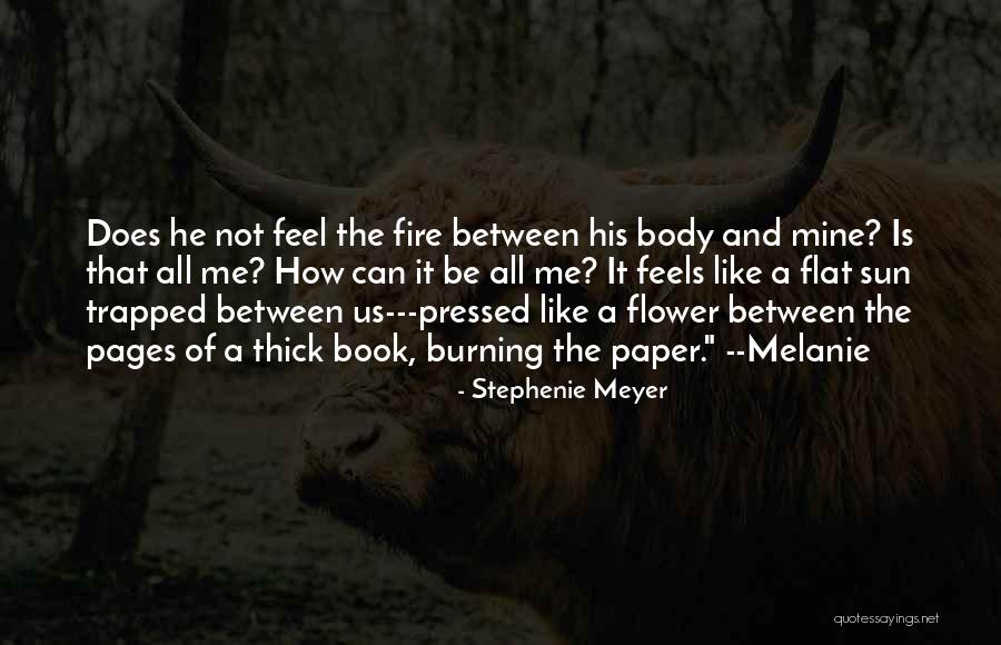 Kyber Crystal Quotes By Stephenie Meyer Kyber Crystal Quotes By Stephenie Meyer