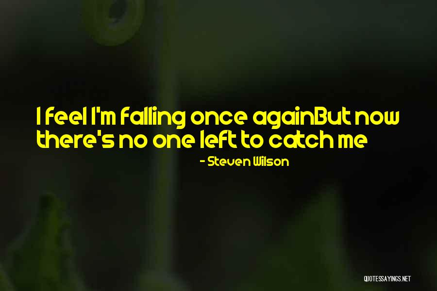 Kyisean Quotes By Steven Wilson Kyisean Quotes By Steven Wilson