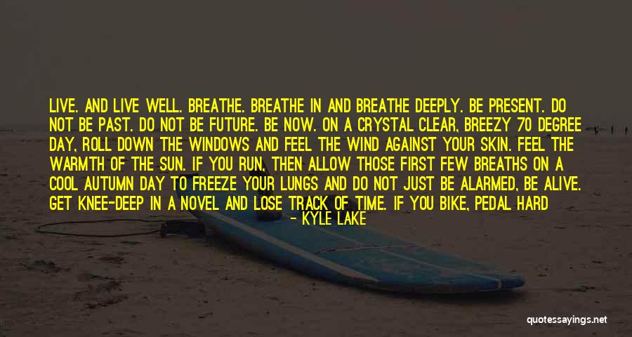 Kyle Lake Quotes 1260796 Kyle Lake Quotes 1260796