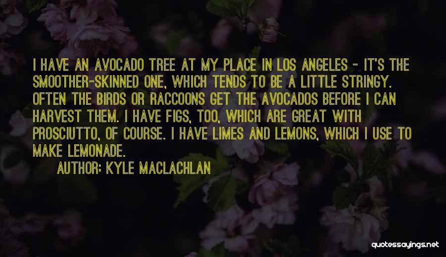 Kyle MacLachlan Quotes 1548758