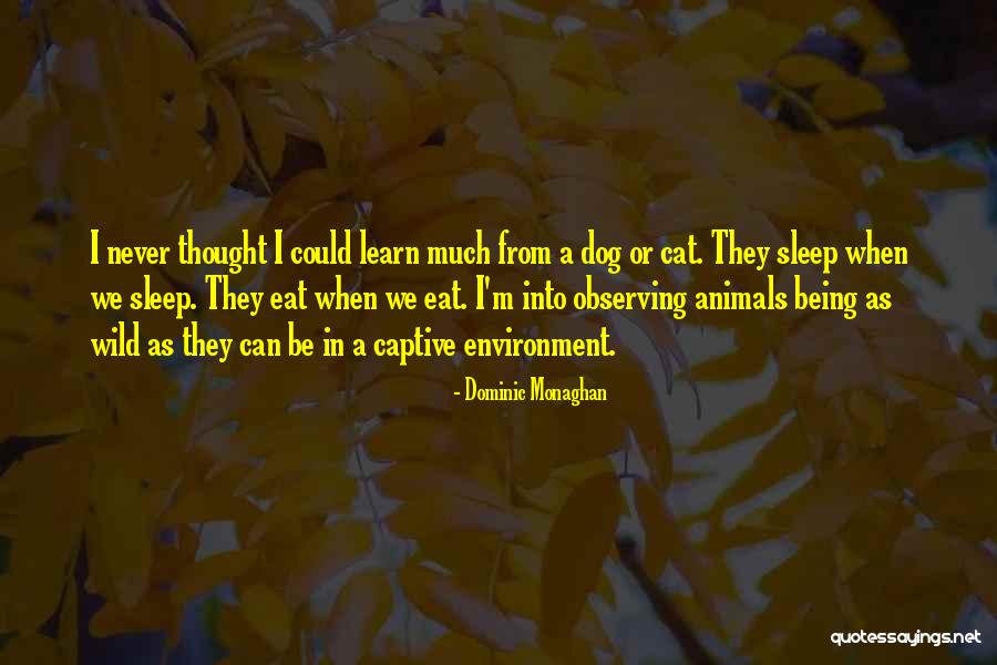 Kynnedi Cooke Quotes By Dominic Monaghan Kynnedi Cooke Quotes By Dominic Monaghan