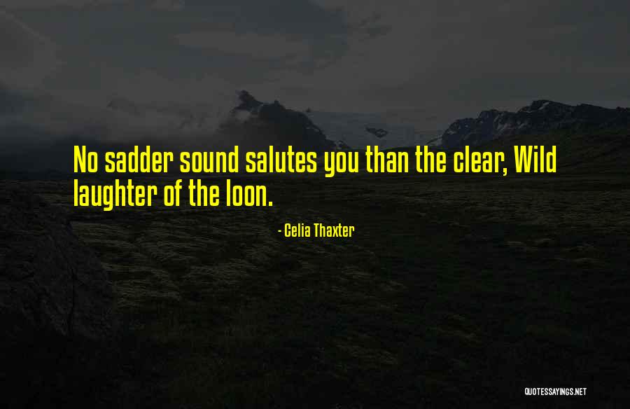 Kyroi Quotes By Celia Thaxter Kyroi Quotes By Celia Thaxter