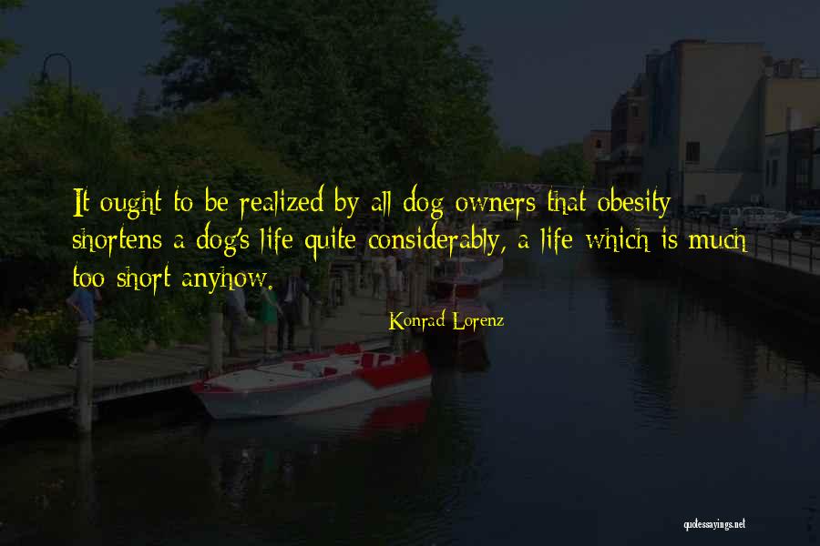 Kytara Heureka Quotes By Konrad Lorenz Kytara Heureka Quotes By Konrad Lorenz