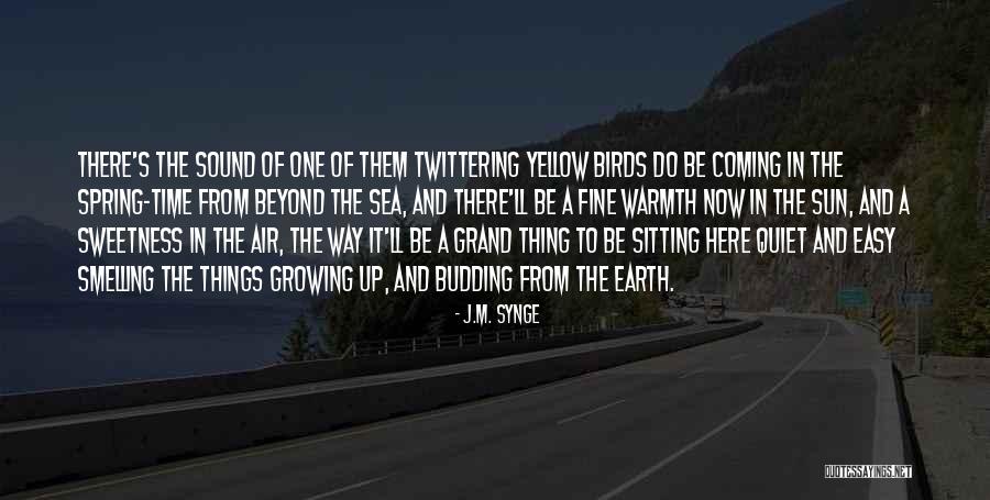 Kytky Omalovanky Quotes By J.M. Synge Kytky Omalovanky Quotes By J.M. Synge