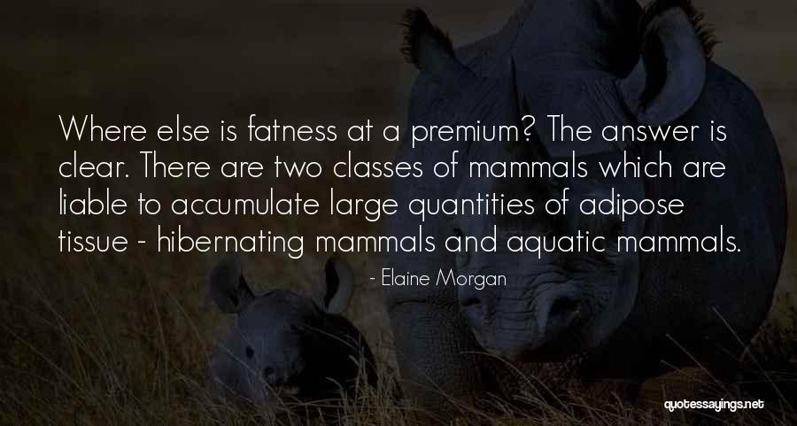 Kzinti Hegemony Quotes By Elaine Morgan Kzinti Hegemony Quotes By Elaine Morgan
