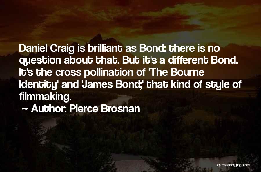 L Bourne Quotes By Pierce Brosnan