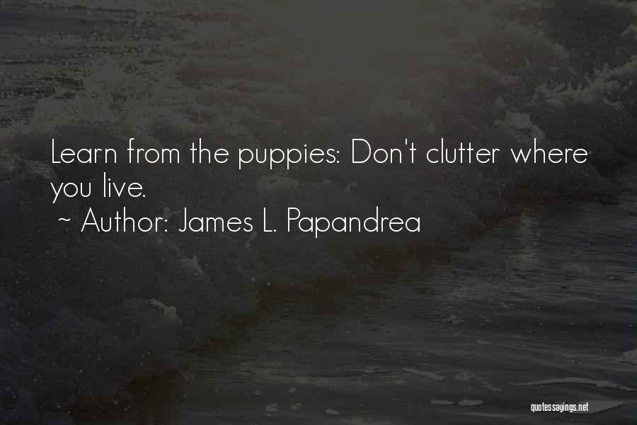 L Don't Care Quotes By James L. Papandrea