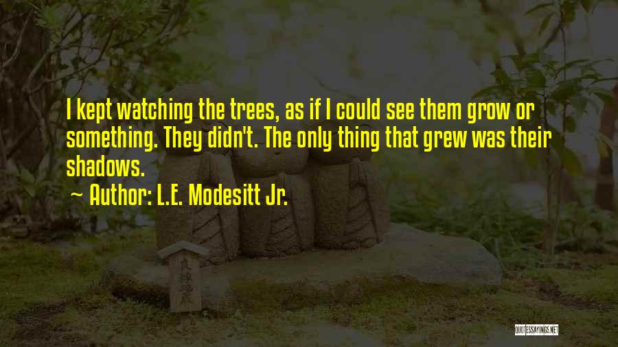 L.E. Modesitt Jr. Quotes 999332