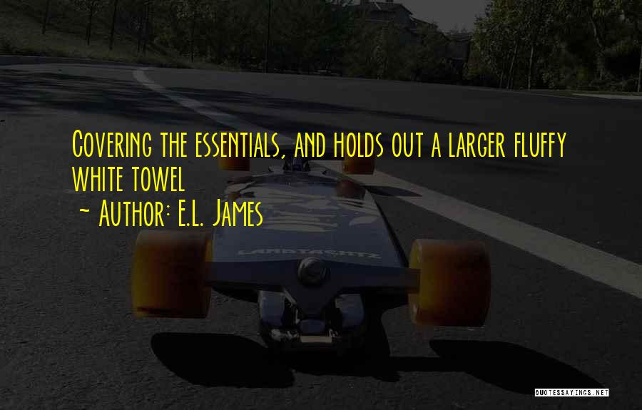 L.e.$ Quotes By E.L. James