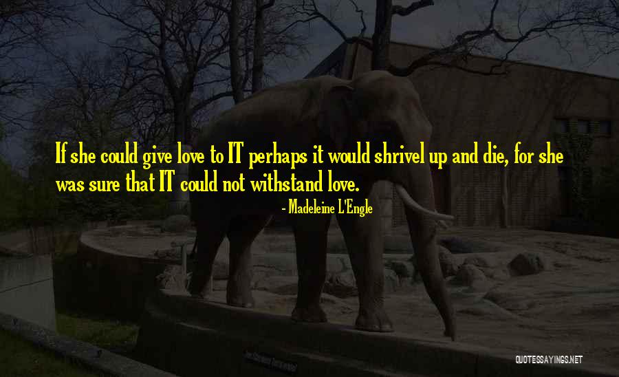 L Engle Quotes By Madeleine L'Engle L Engle Quotes By Madeleine L'Engle