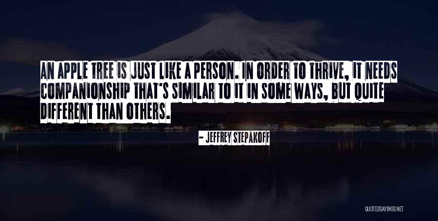 L Hitapiola Autovakuutus Quotes By Jeffrey Stepakoff L Hitapiola Autovakuutus Quotes By Jeffrey Stepakoff