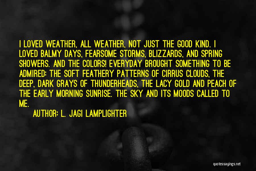 L. Jagi Lamplighter Quotes 1624600
