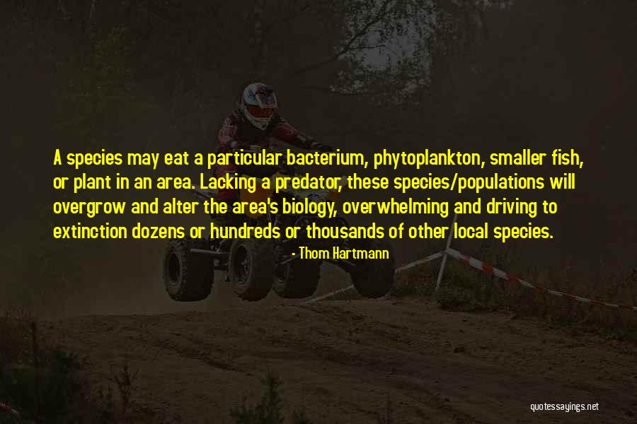 L Ncker K Gy Rt S Quotes By Thom Hartmann L Ncker K Gy Rt S Quotes By Thom Hartmann