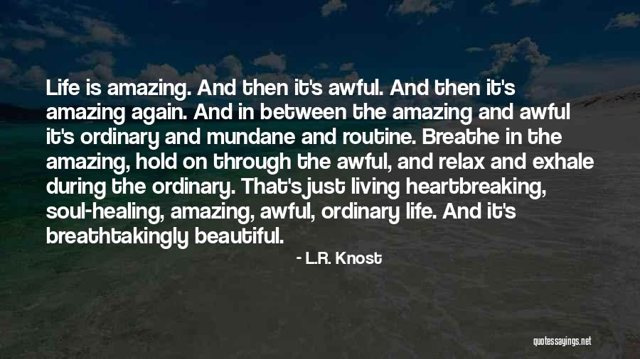 L.R. Knost Quotes 1704280