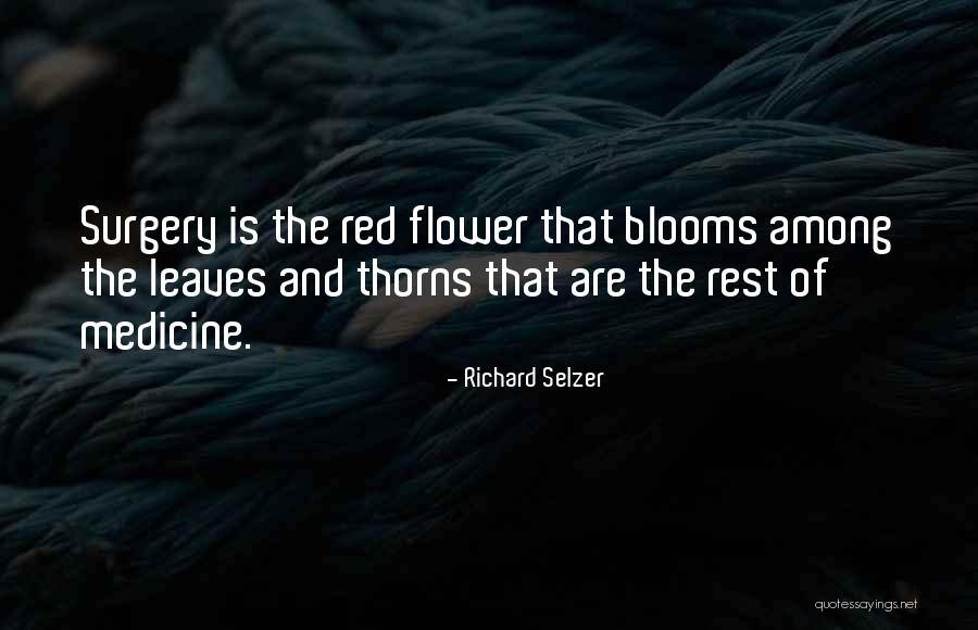 L R M Hasretinle S Zleri Quotes By Richard Selzer L R M Hasretinle S Zleri Quotes By Richard Selzer