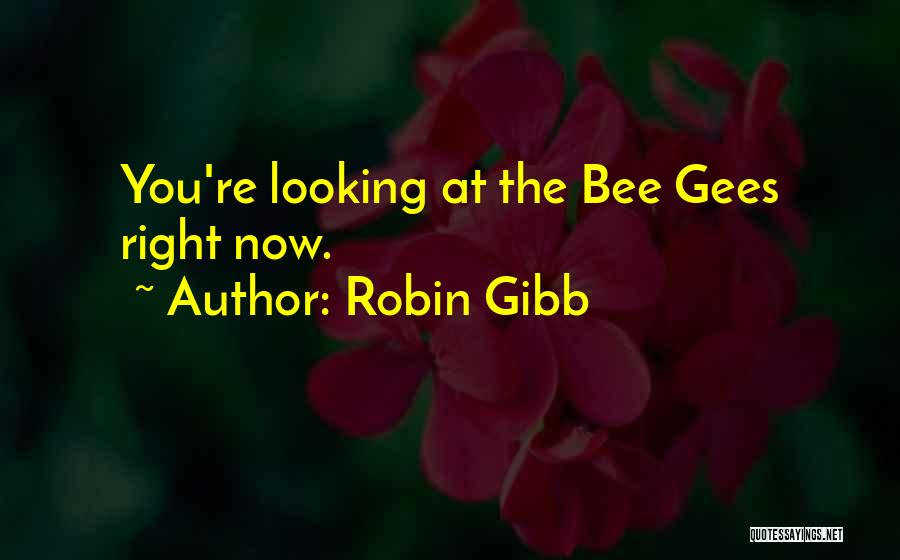 La Brava Mha Quotes By Robin Gibb