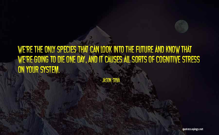 La Casa De Mango Street Quotes By Jason Silva La Casa De Mango Street Quotes By Jason Silva