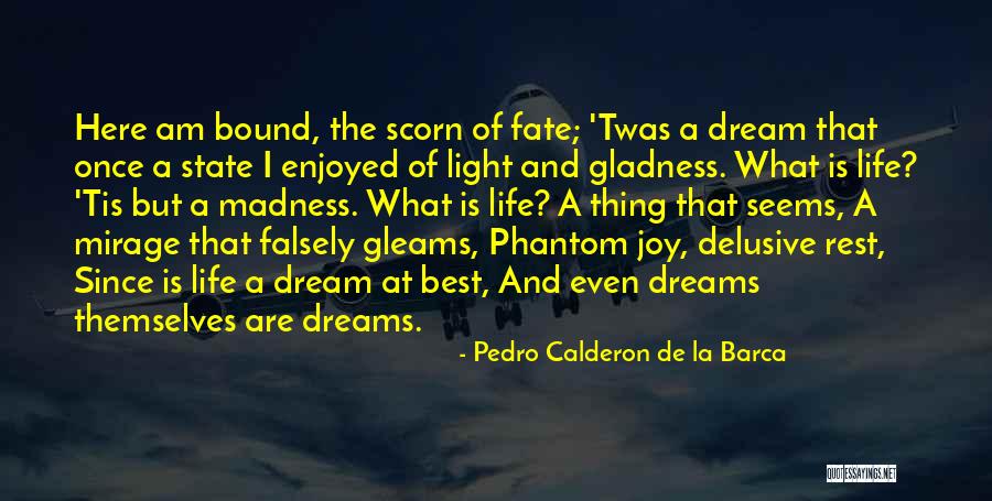 La Dream Quotes By Pedro Calderon De La Barca La Dream Quotes By Pedro Calderon De La Barca