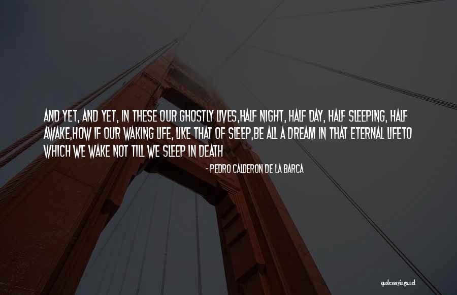 La Dream Quotes By Pedro Calderon De La Barca La Dream Quotes By Pedro Calderon De La Barca