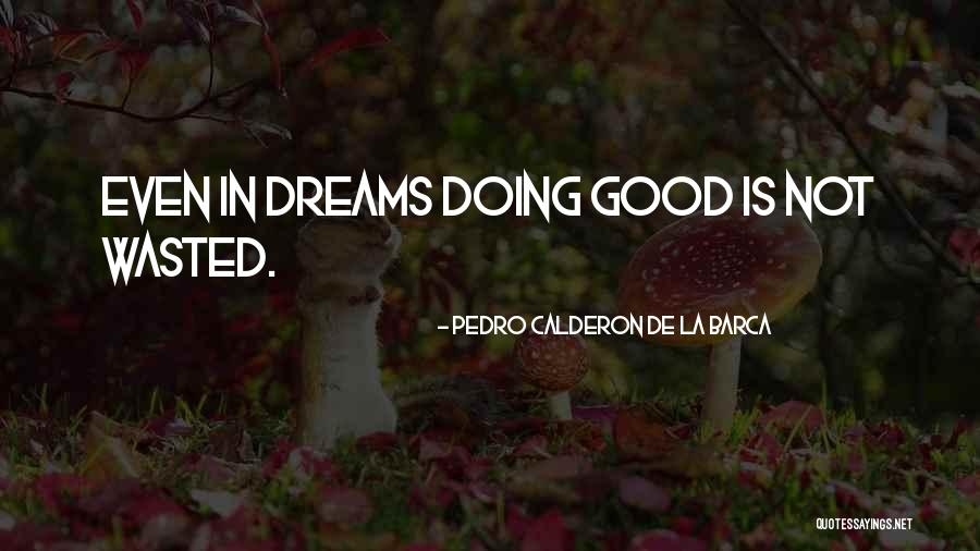 La Dream Quotes By Pedro Calderon De La Barca La Dream Quotes By Pedro Calderon De La Barca