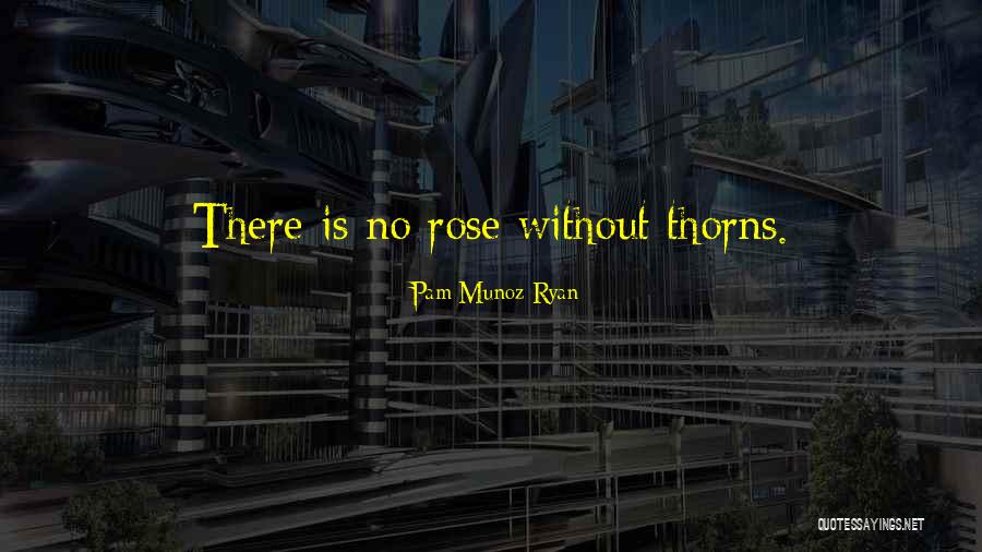 La Flandres Quotes By Pam Munoz Ryan La Flandres Quotes By Pam Munoz Ryan