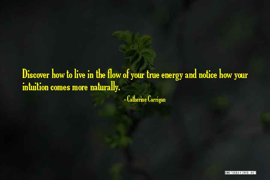 La Fortezza Winery Quotes By Catherine Carrigan La Fortezza Winery Quotes By Catherine Carrigan
