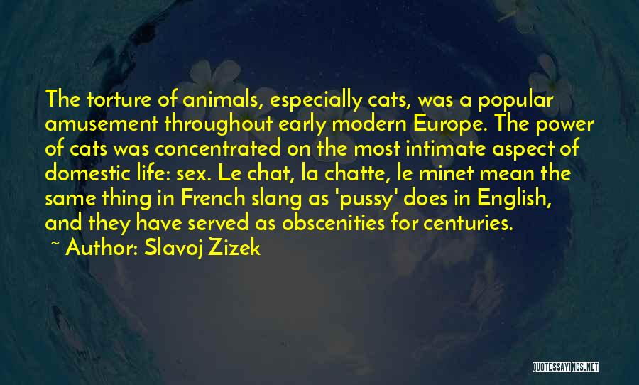 La Life Quotes By Slavoj Zizek