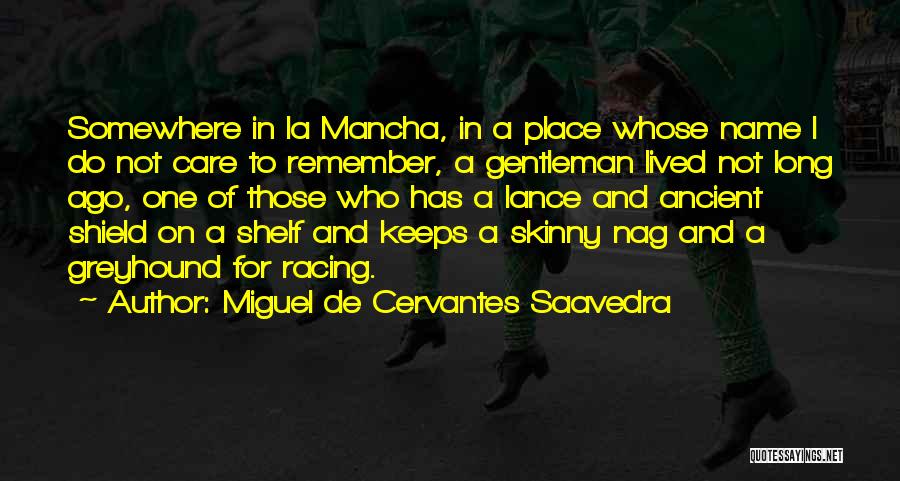 La Mancha Quotes By Miguel De Cervantes Saavedra