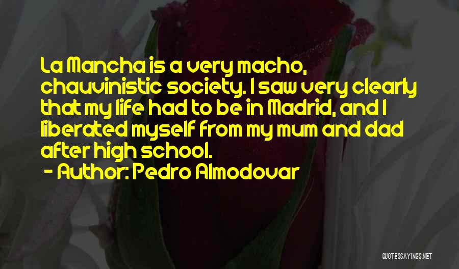 La Mancha Quotes By Pedro Almodovar