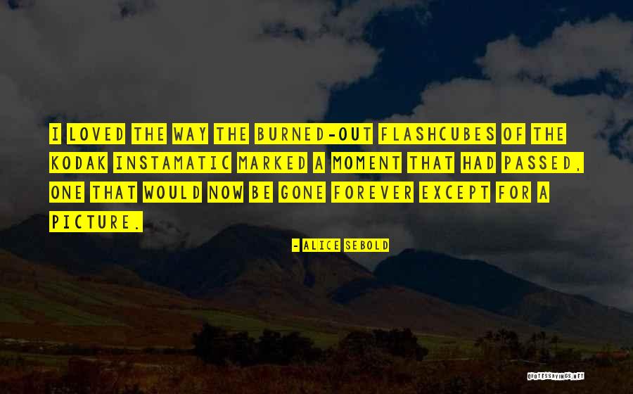 La Pasion Turca Quotes By Alice Sebold La Pasion Turca Quotes By Alice Sebold