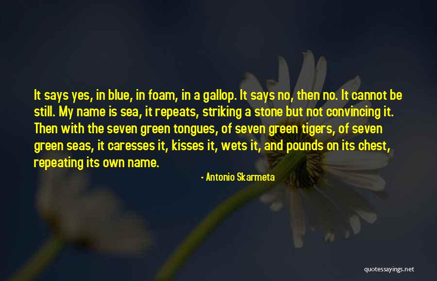 La Pietra Tuition Quotes By Antonio Skarmeta La Pietra Tuition Quotes By Antonio Skarmeta