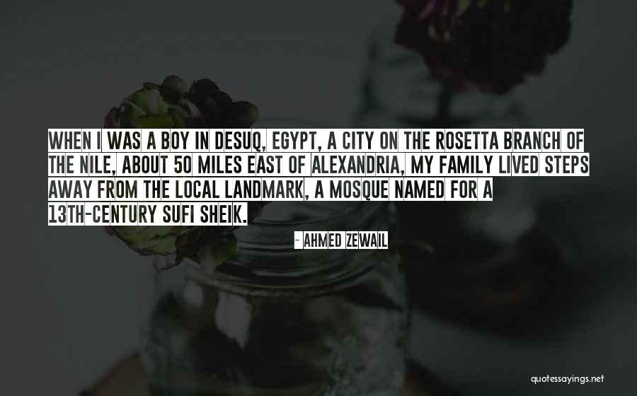 La Source Lotion Quotes By Ahmed Zewail La Source Lotion Quotes By Ahmed Zewail