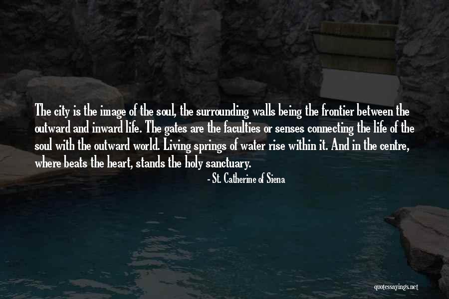 La Teoria Del Big Bang Quotes By St. Catherine Of Siena La Teoria Del Big Bang Quotes By St. Catherine Of Siena